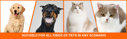 3 in 1 Pet hair steam grooming brush for dogs and cat